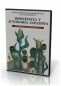 Neu! DVD »Resistencia y Autonomía Zapatista«