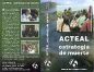 Acteal. Strategie des Todes